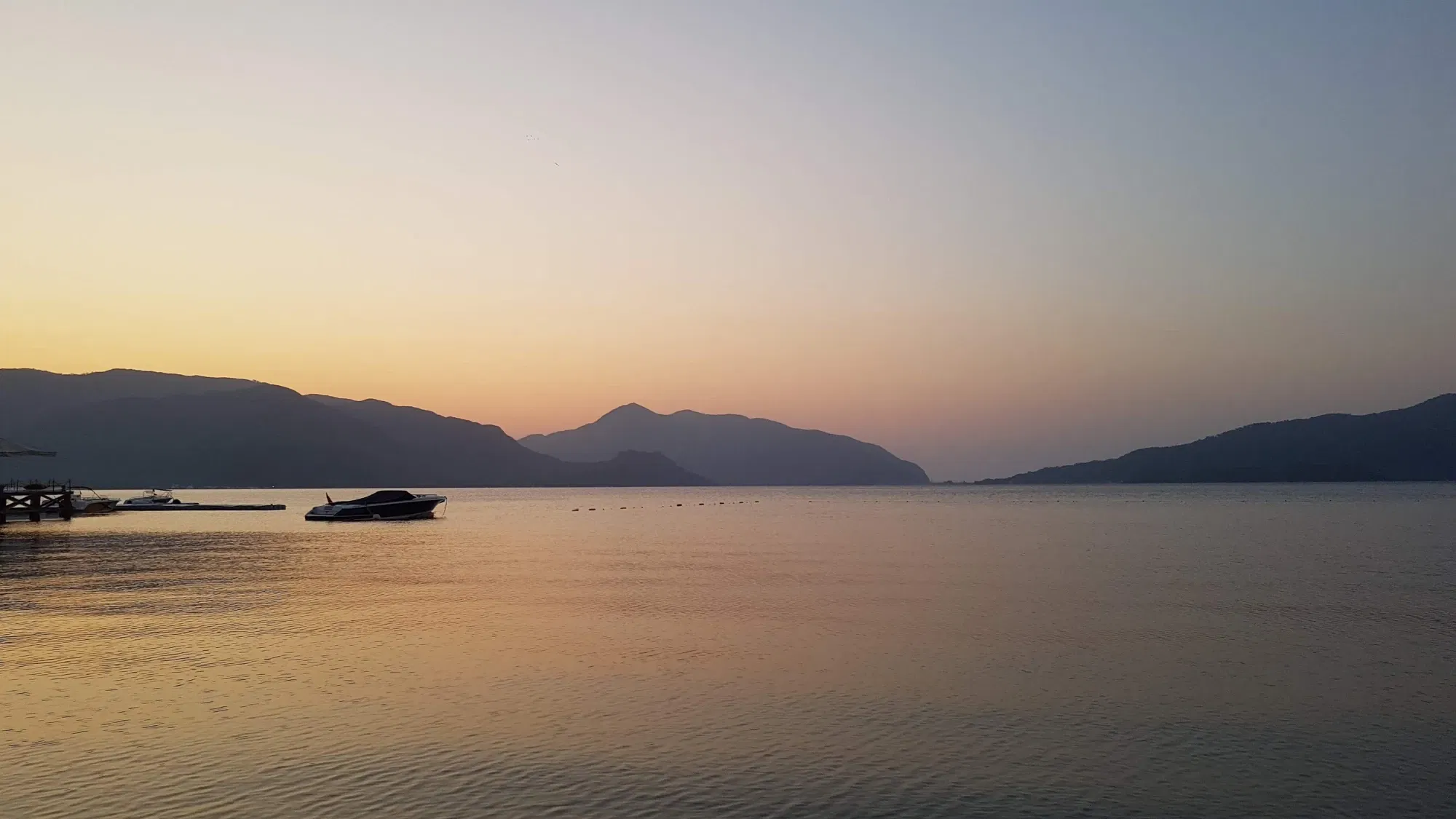clp06arih01by7lsz2frogbp0_20190830_062858.webp